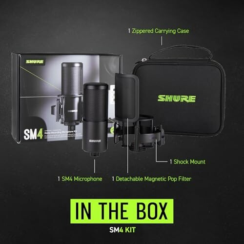 Shure SM4 Microphone Kit