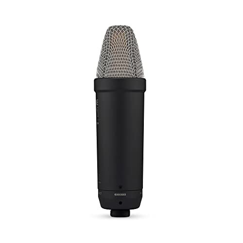 Black studio condenser microphone with mesh grille.