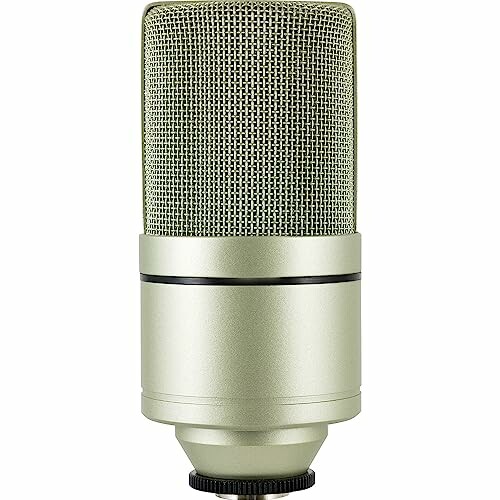 Silver studio microphone